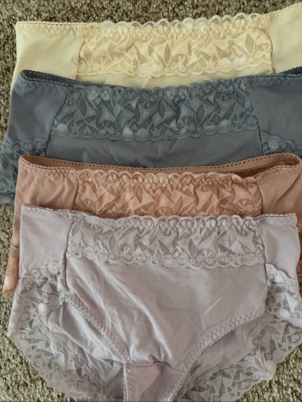 Women's Lace-Trim Bikini Panties - 4-Pack in Cream, Gray, Blush, and Mauve